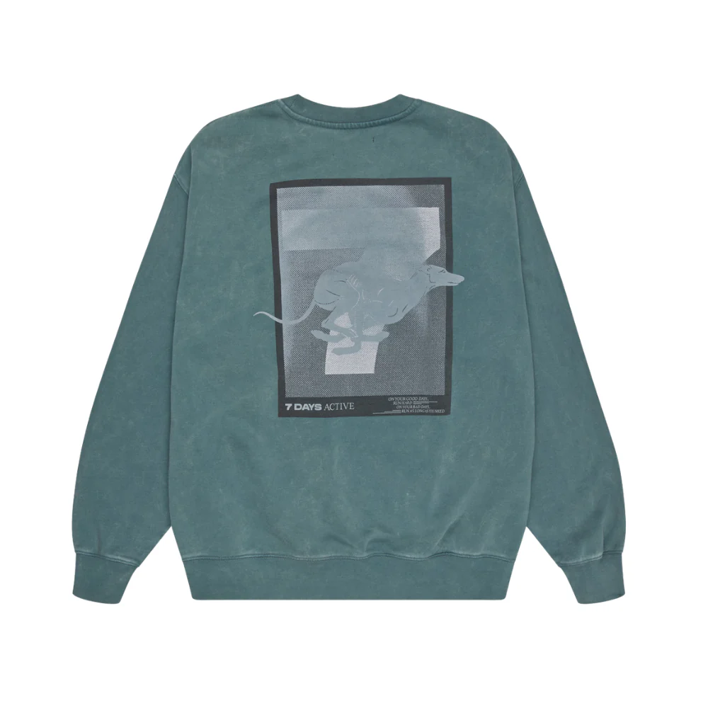 Regular sweatshirt - 065 Dusty Green - Image 4