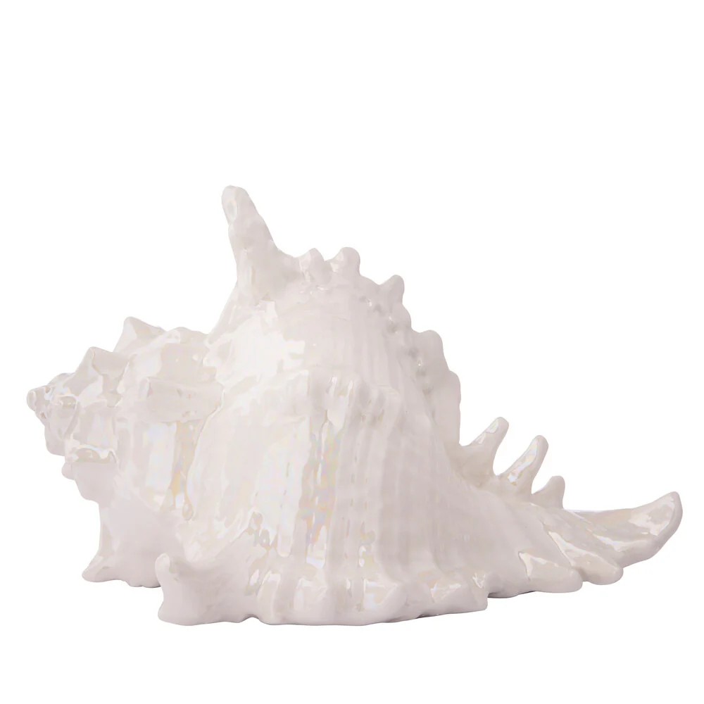 konkylie, perlemor - H11 cm
