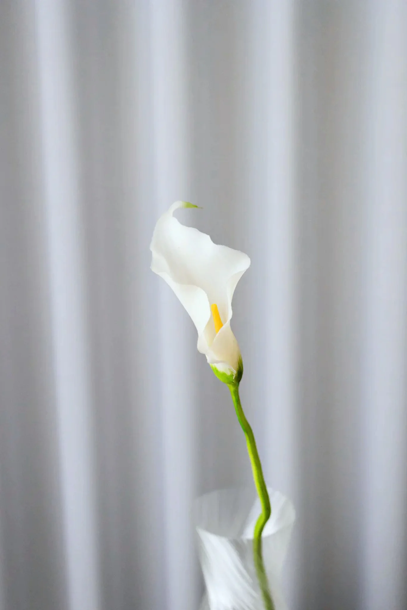 Miniaturebillede 1
