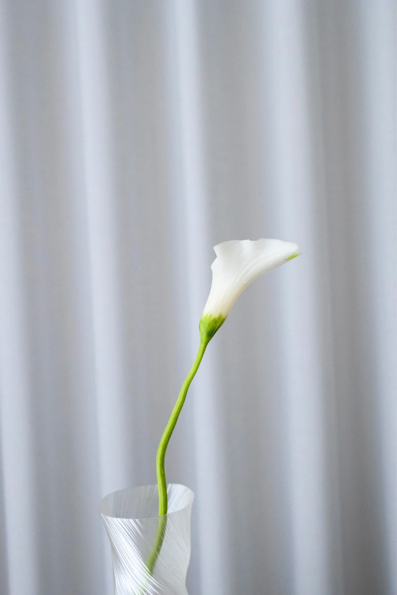 Kunstig Calla lilje - hvid - Image 3