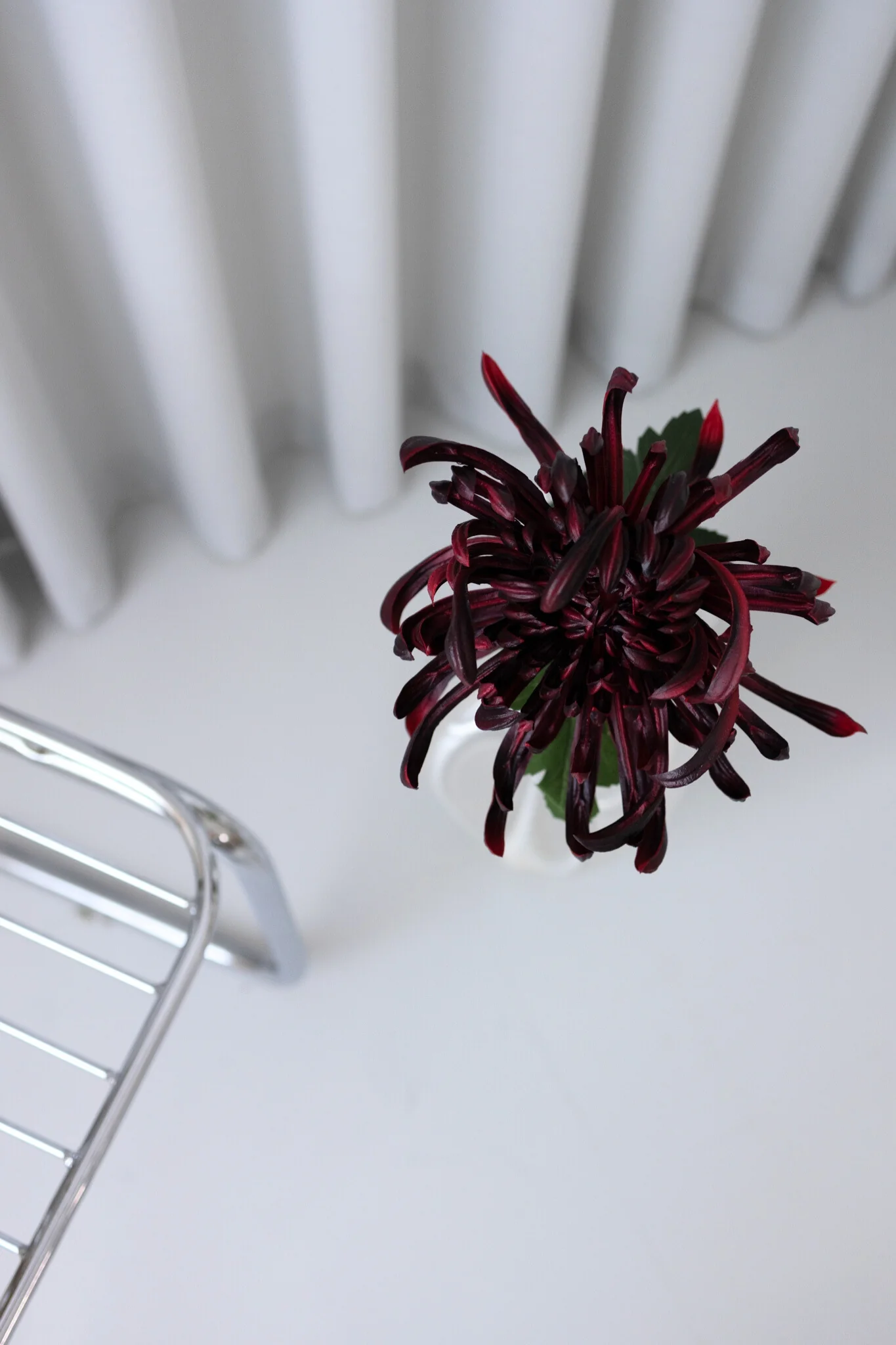 Kunstig chrysanthemum - bordeaux - Image 4