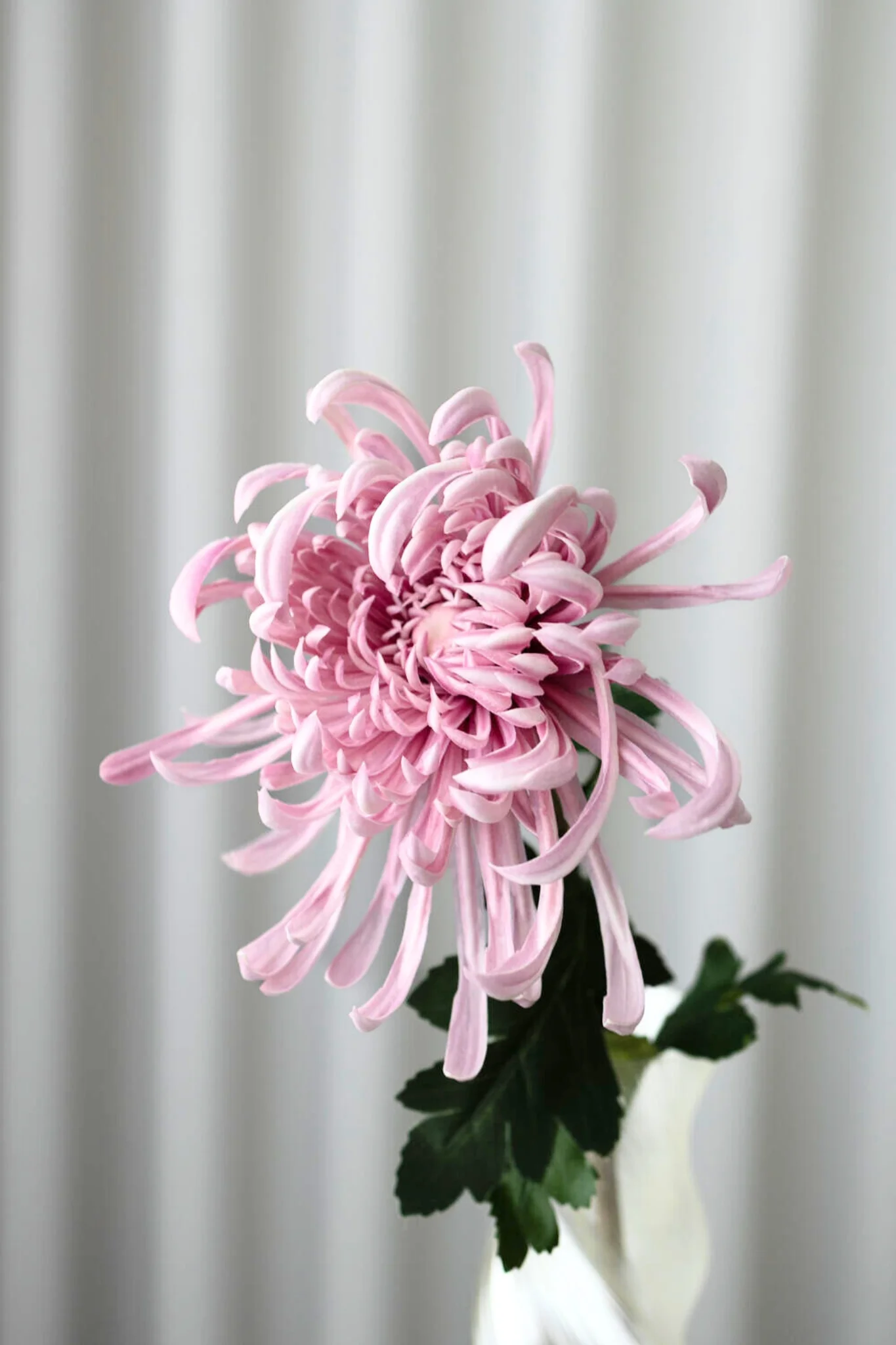 Kunstig chrysanthemum - lilla - Image 2