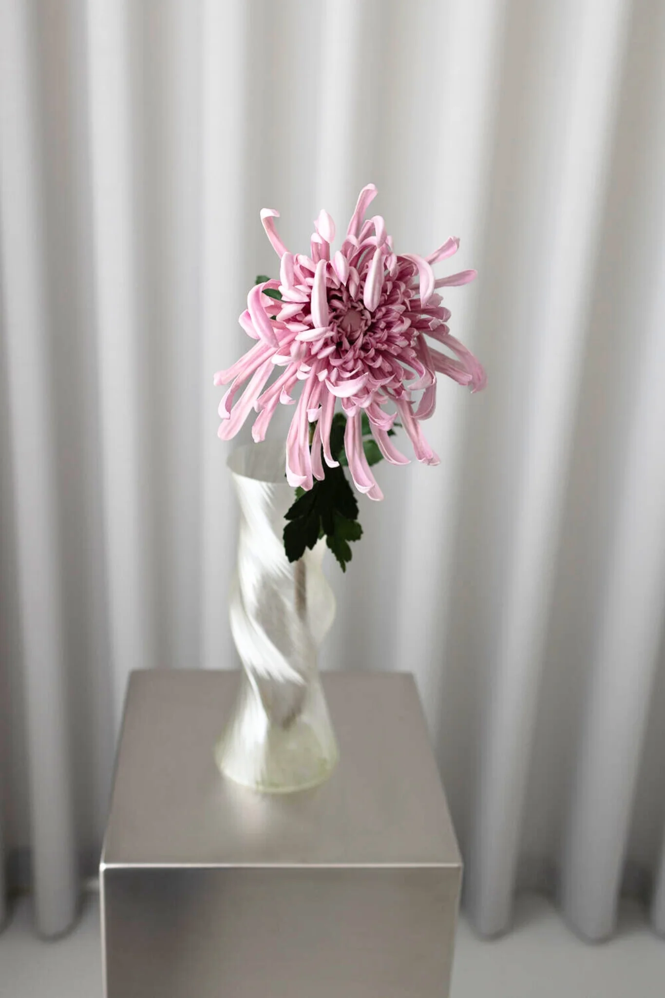 Kunstig chrysanthemum - lilla - Image 3