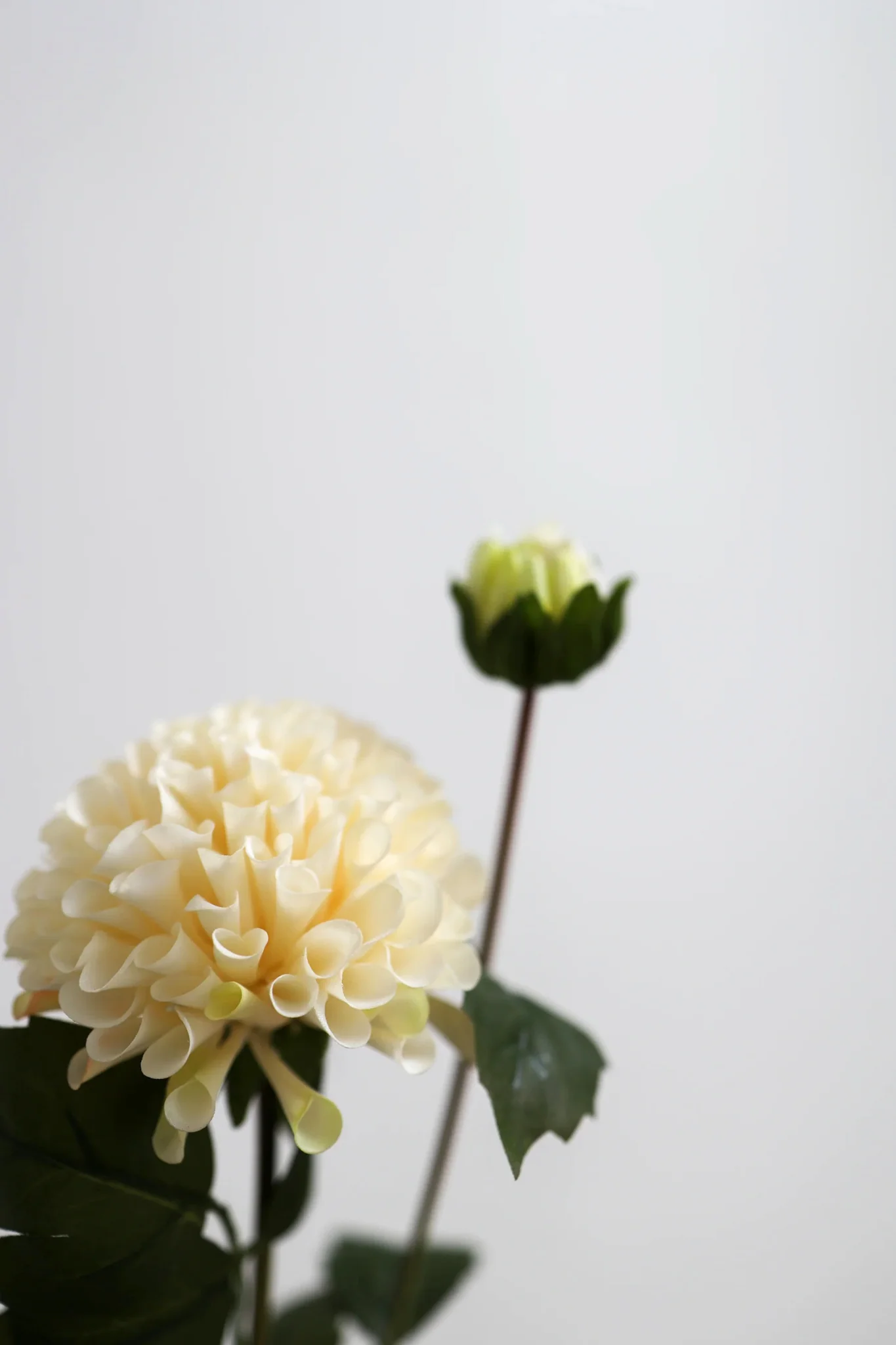 Kunstig dahlia - hvid - Image 3