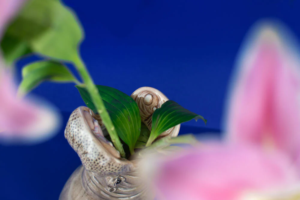 Hungry Hippo vase - grå - Image 7