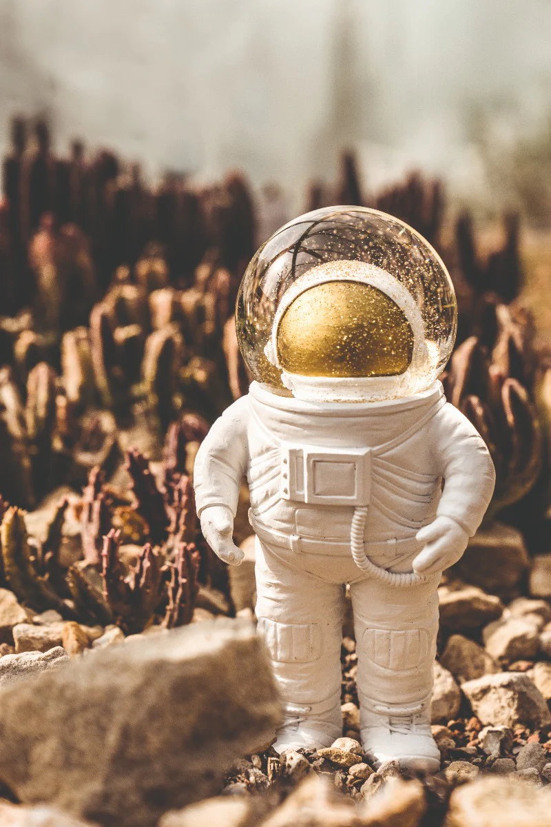 Snekugle - summerglobe (the astronaut) - Image 2