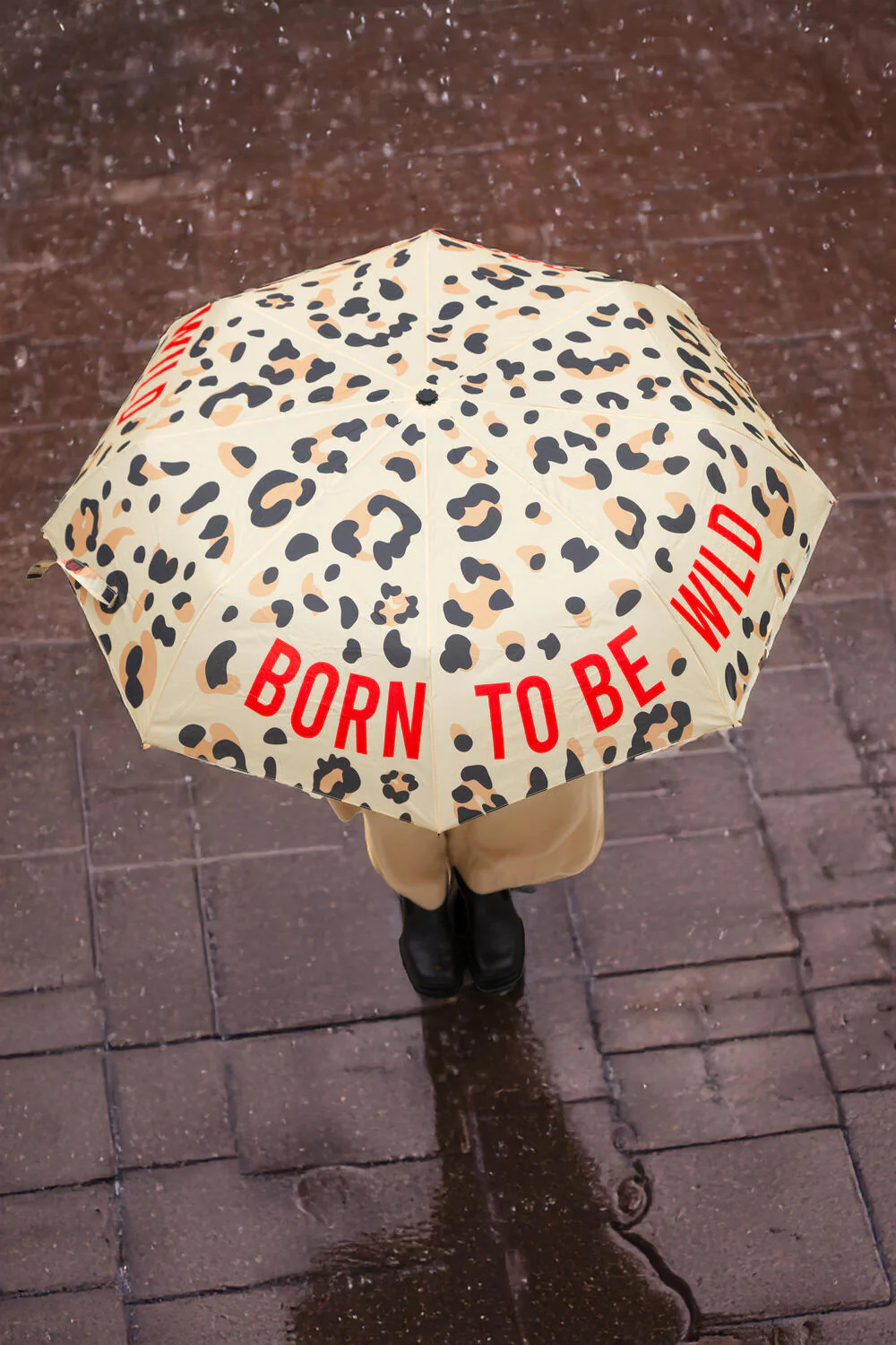 Born To Be Wild foldbar paraply - Cheetah Printed - Image 2