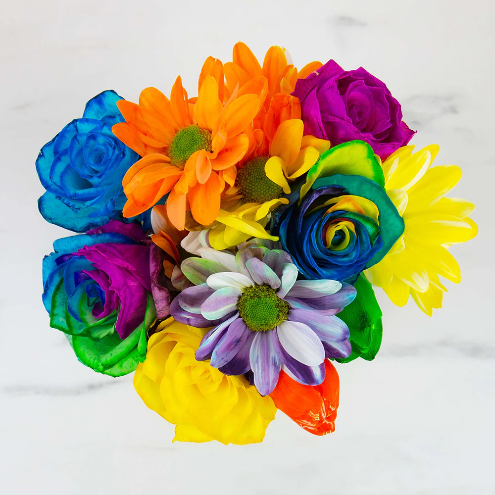 DIY Rainbow Flowers Kit - Image 4