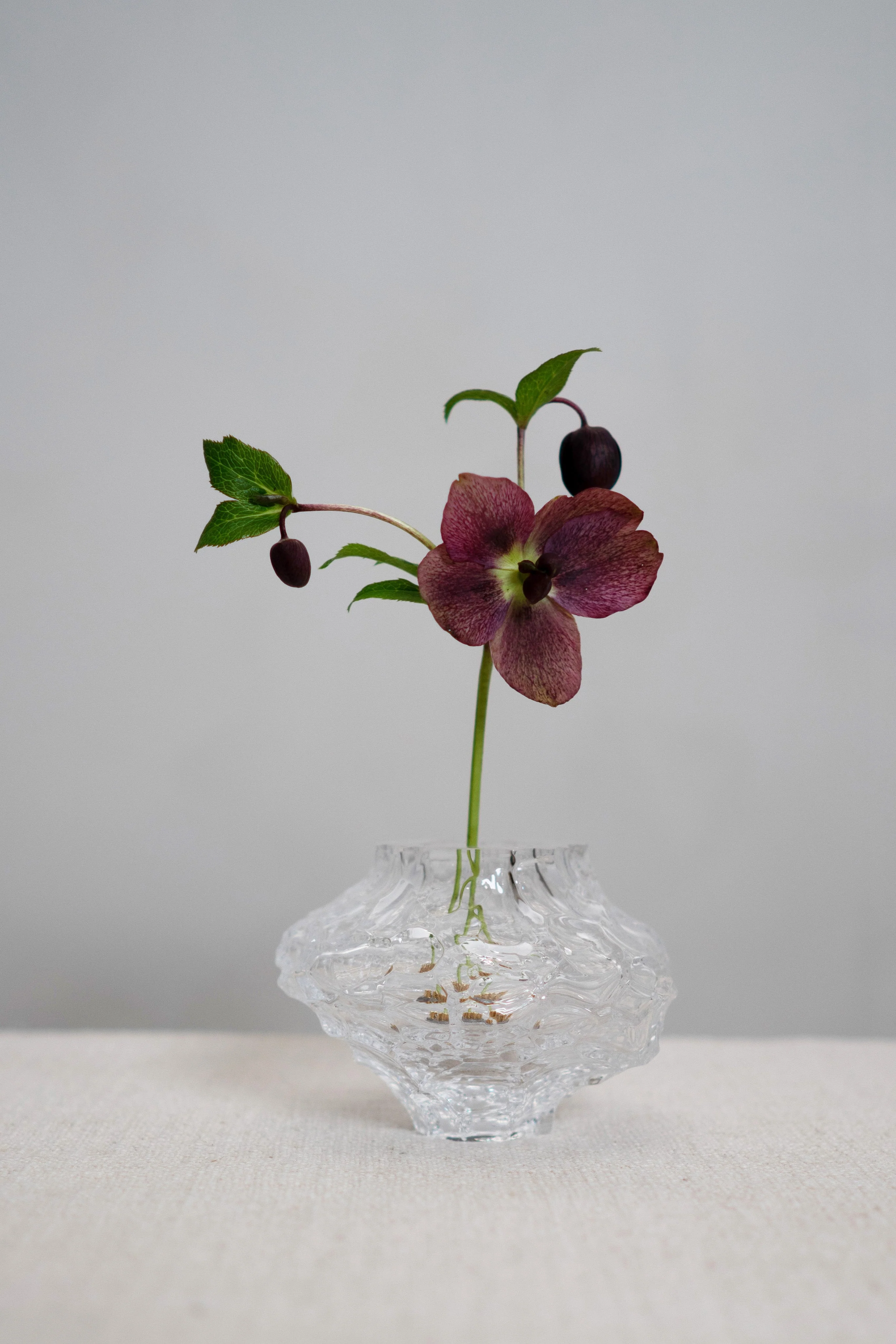 Kenzan blomsterholder - 23 mm. - Image 2