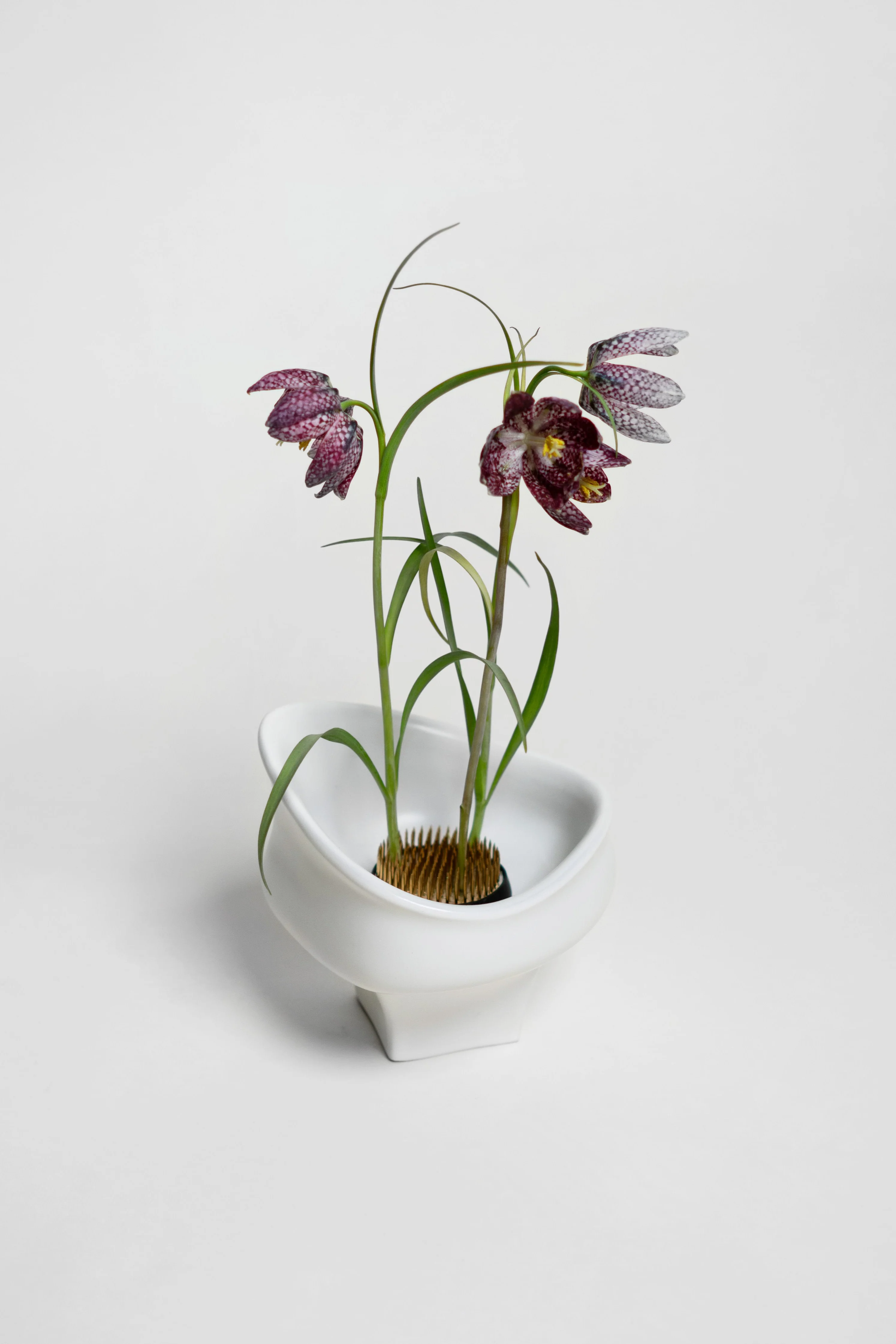 Kenzan blomsterholder - 60 mm. - Image 3
