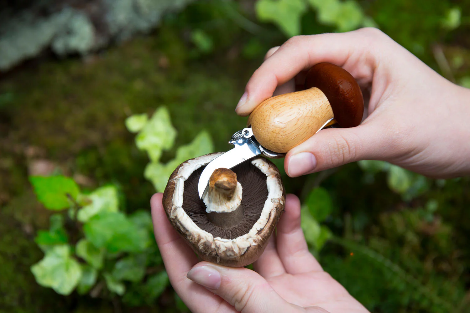 Mushroom Tool nøglering - Image 3