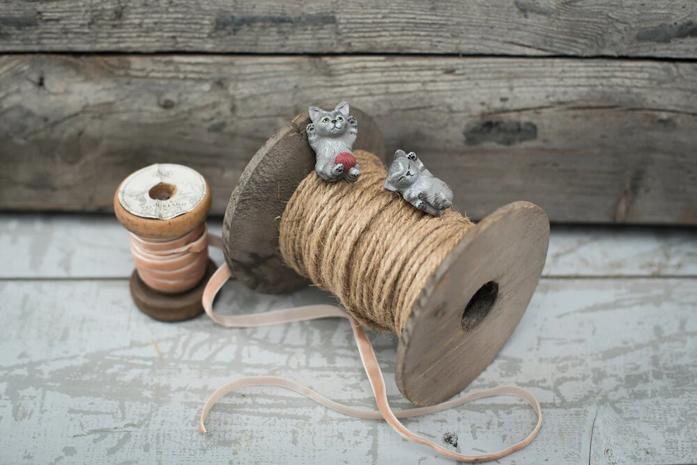 Miv og Nulle katte - Image 3