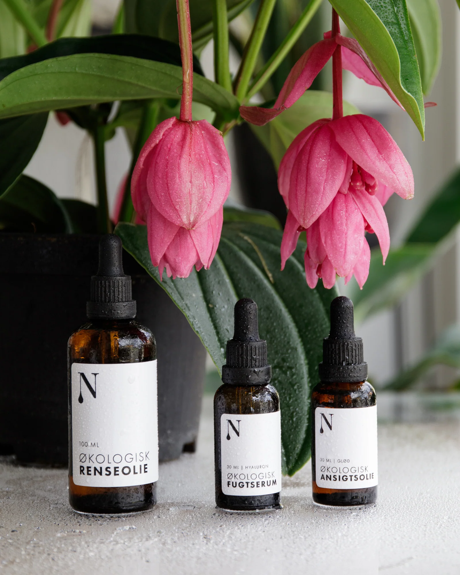 Økologisk renseolie - 100 ml. - Image 3