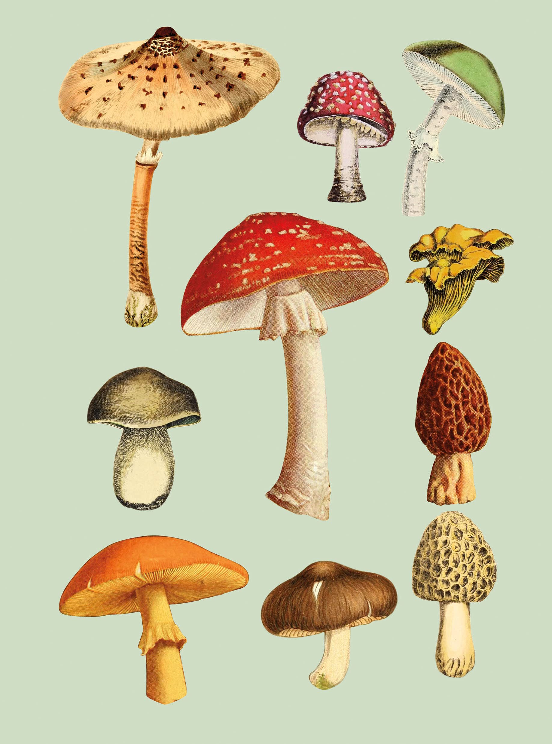 The Antiquarian klistermærkebog - Image 2