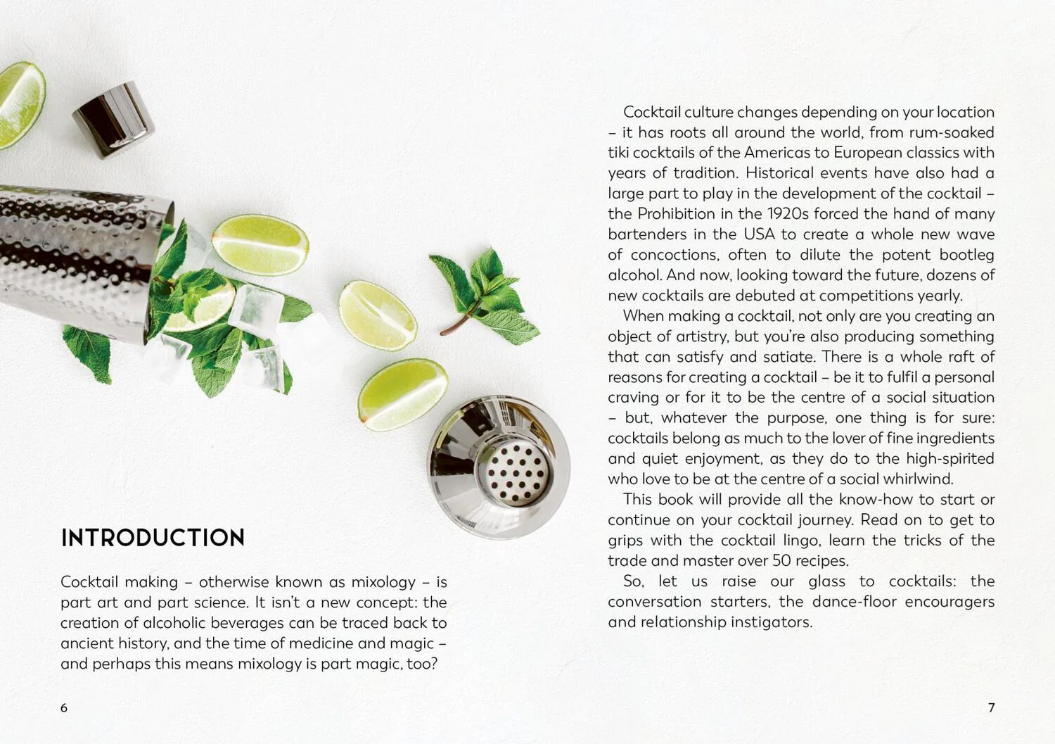 The Little Book for Cocktail Lovers - Image 4