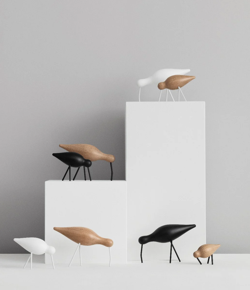 Shorebird, medium  - sort - Image 5