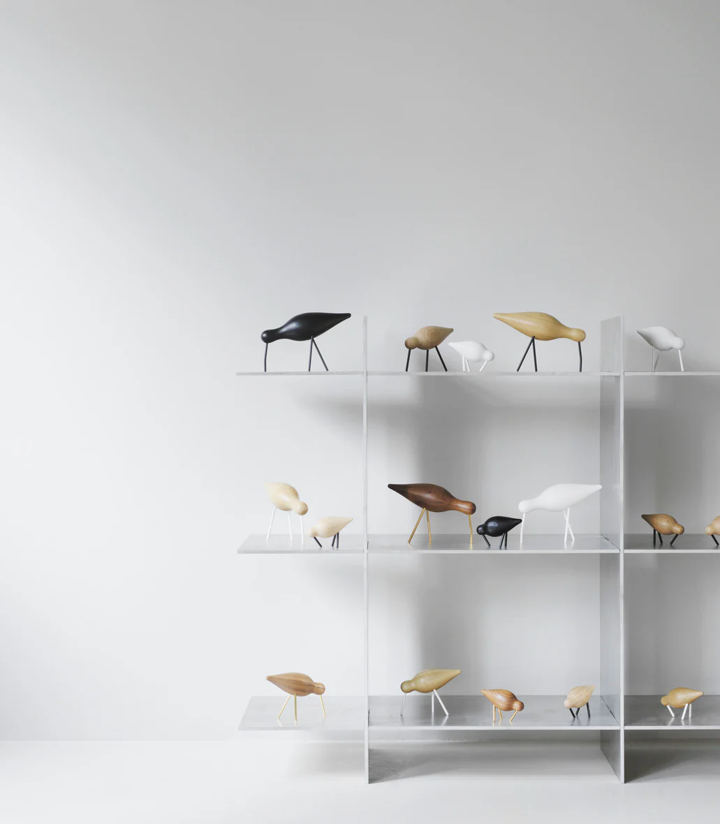 Shorebird, stor - sort - Image 5