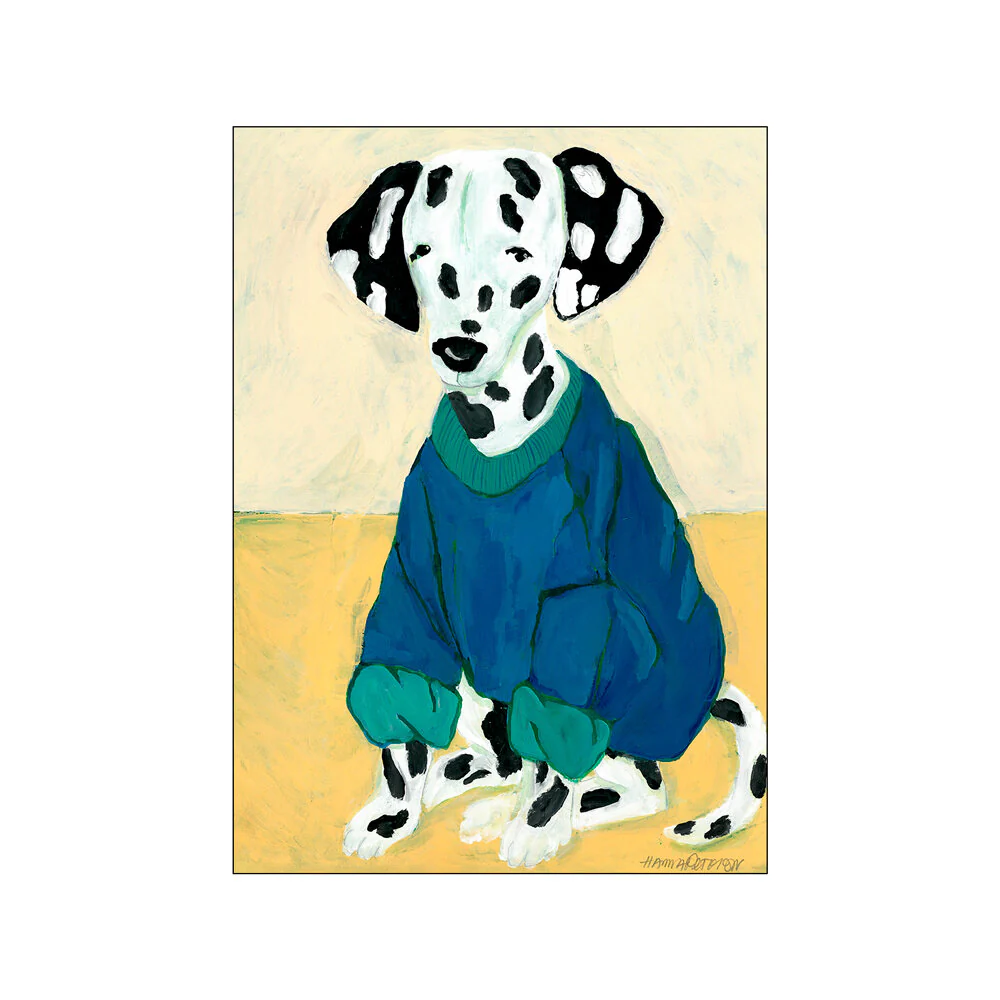 Dakmatian in Sweatshirt plakat, mønstret - 30x40 cm