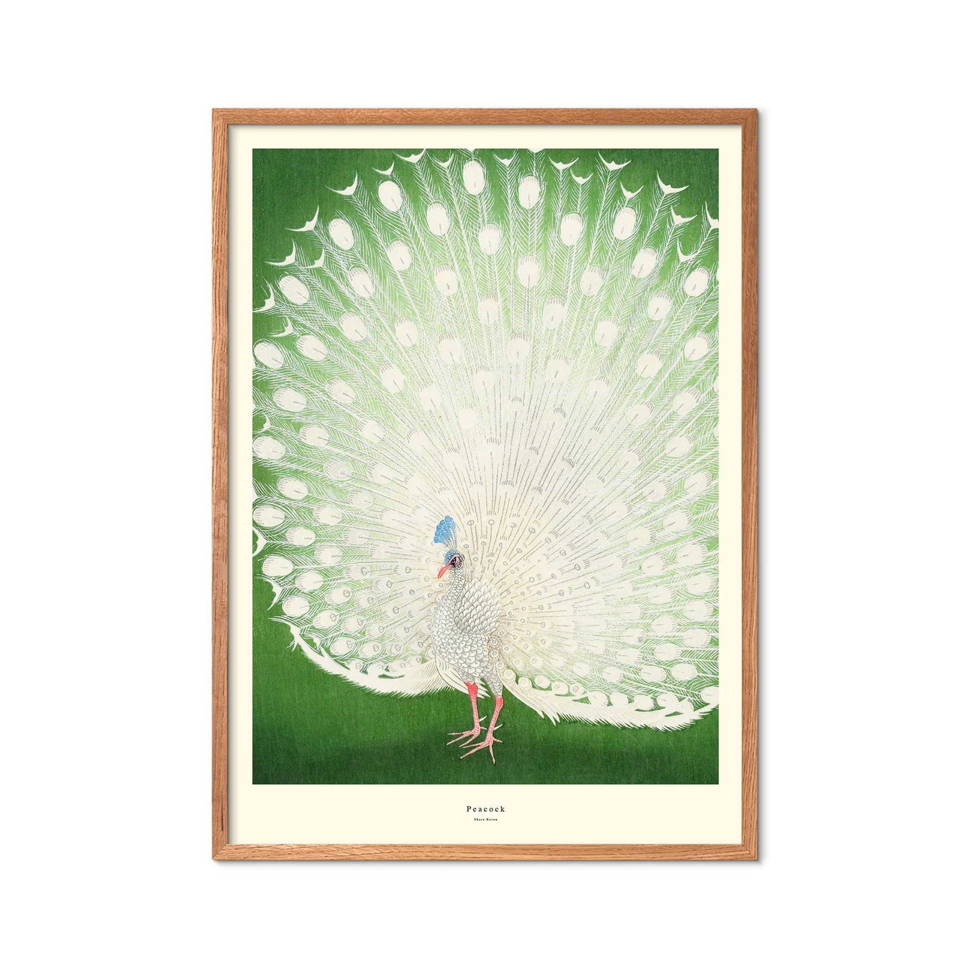 Peacock plakat - Image 3