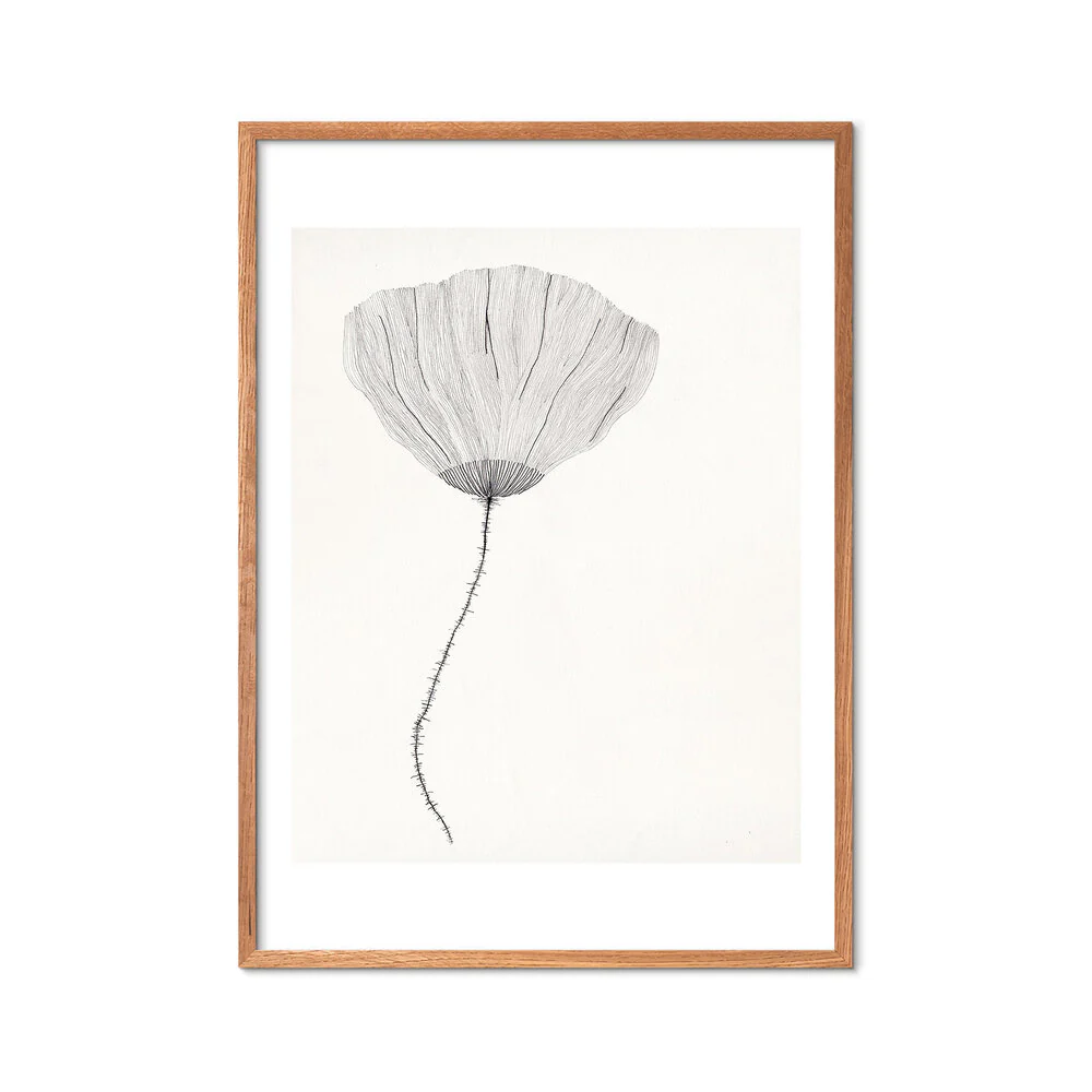 Poppy plakat, creme - 50x70 cm - Image 3