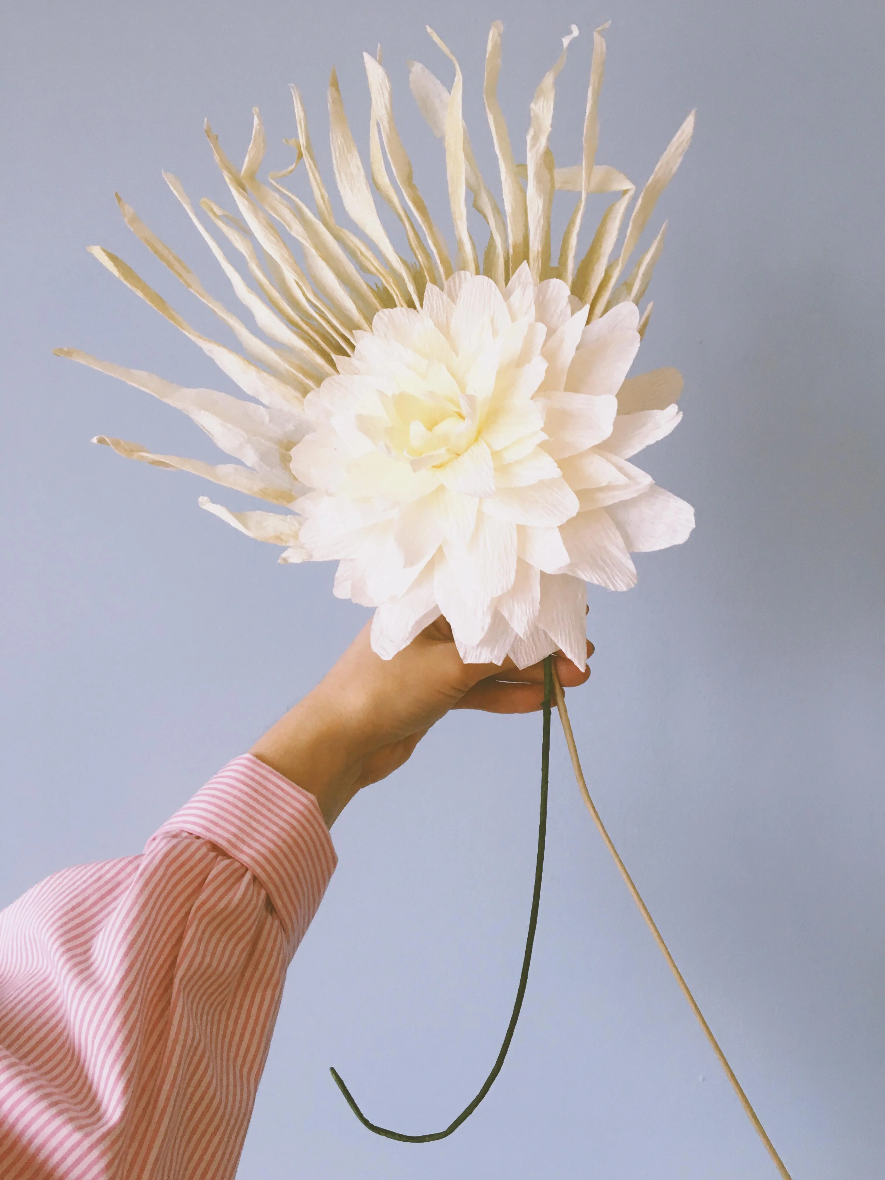 Grand Dahlia papirblomst - sand - Image 3