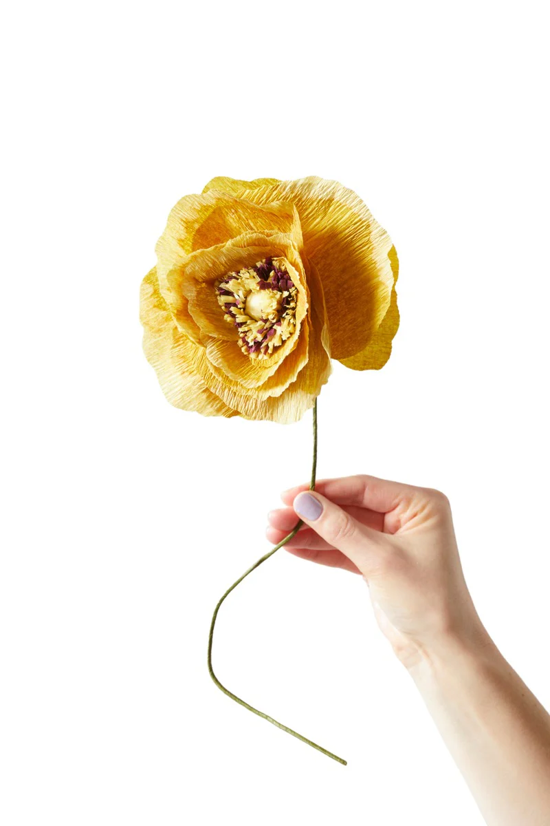 Ice Poppy papirblomst - Ochra